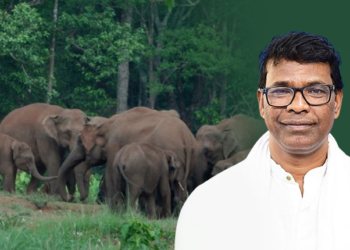 Elephants - Minister Ganesh Ram Singhkhuntia
