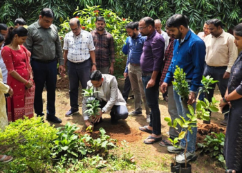 Odisha Plants