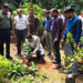 Odisha Plants