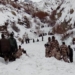 Kinnaur: A snow avalanche killed a soldier while five other soldiers went missing near the Tibet border in Himachal Pradesh's Kinnaur district on Feb 20, 2019. Five Indo-Tibetan Border Force (ITBP) troopers were also injured in the disaster that occurred at around 11 a.m. The avalanche was triggered when the glacier near Namgia Dogri bordering Tibet slid, burying six soldiers of the Jammu and Kashmir Rifles when 16 soldiers were on routine patrol. (Photo: IANS)