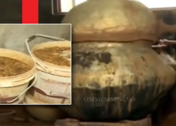 Bhubaneswar’s Salia Sahi