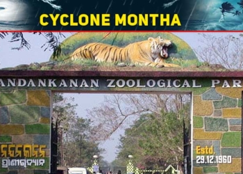 Nandankanan Zoo - Cyclone Montha
