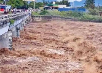 Vaigai Dam Water