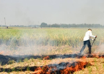 Farm Fire Cases