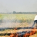 Farm Fire Cases