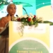 FM Sitharaman