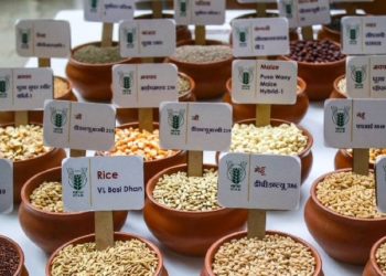 Mission for Aatmanirbharta in Pulses