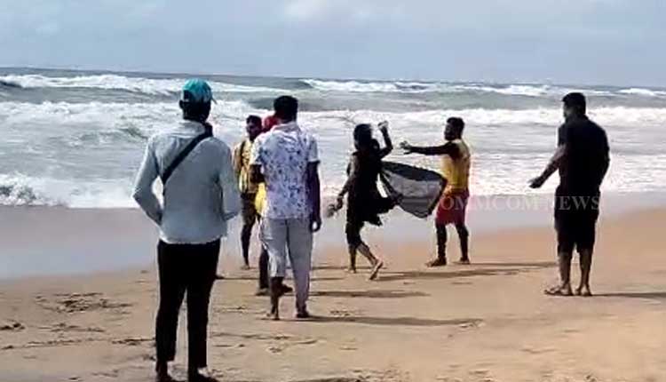 Tourists Assault Lifeguard
