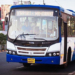 Ama Bus