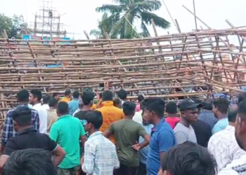 Durga Puja Light Gate