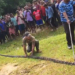 King Cobra