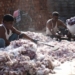 Agartala: Workers beat cotton to make blankets during winter season, in Agartala on Wednesday, December 29, 2021. (Photo: IANS/Abhishek Saha)