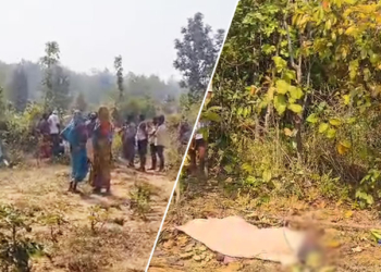 Man Trampled To Death