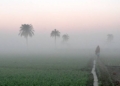 Odisha Shivers As Cold Wave