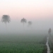 Odisha Shivers As Cold Wave