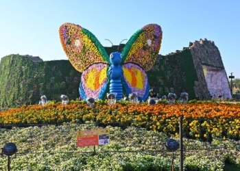 Ahmedabad Flower Show