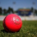 Pink-Ball Test