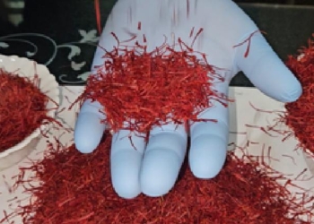 Kashmiri Saffron