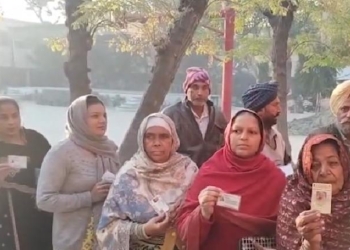 Punjab Zila Parishad