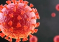 COVID-19 Vaccines