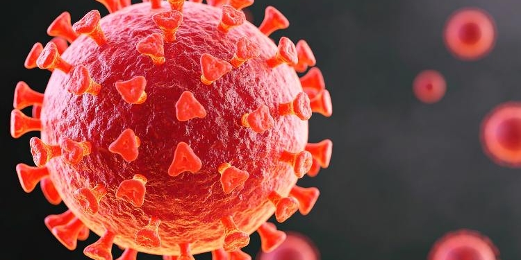 COVID-19 Vaccines