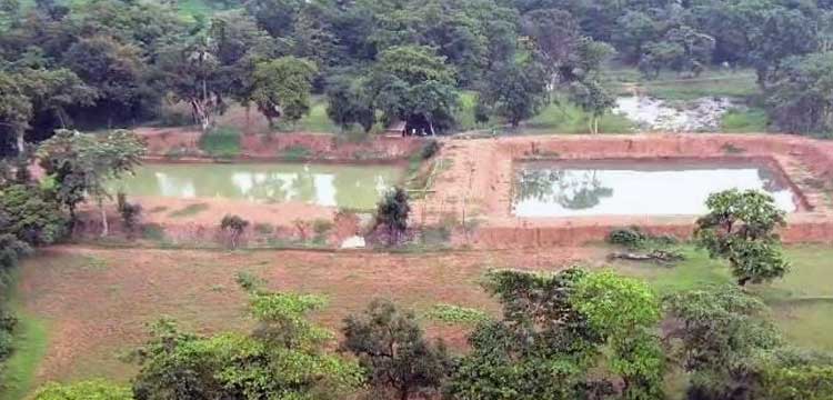 Water-Harvesting Ponds