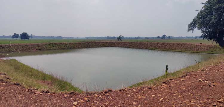 Water-Harvesting Ponds