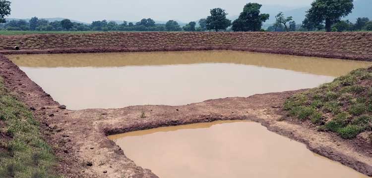 Water-Harvesting Ponds