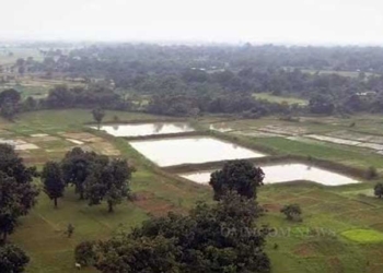 Water-Harvesting Ponds