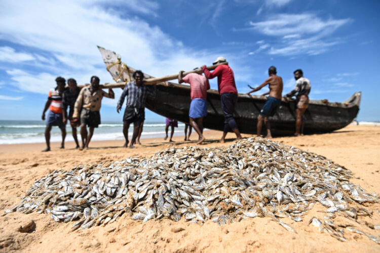 Govt Doubles Down On Structured Skilling For Fish Farmers, 22,921 Benefitted