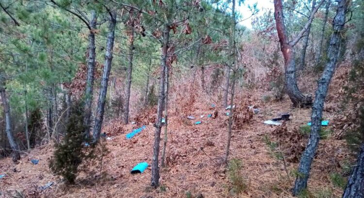 South Korean Defence Minister Denies North Korea’s Drone Infiltration Claims