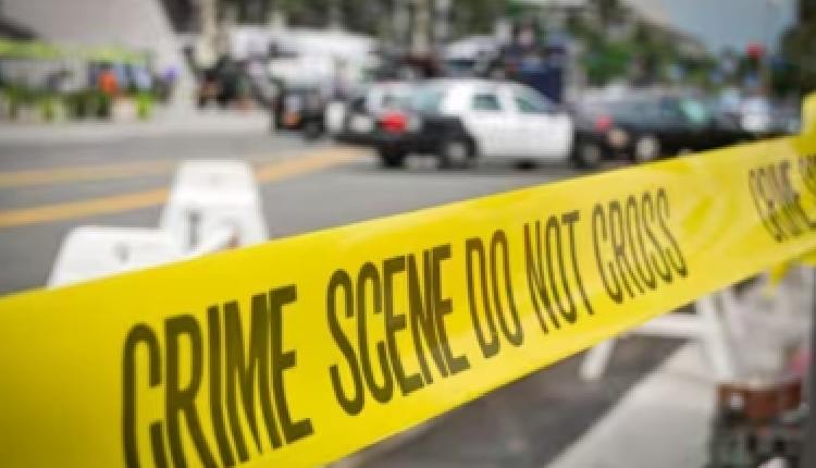 Indian Woman Found Stabbed In US, Ex-Boyfriend Fled To India