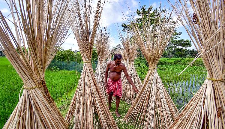 Bangladesh’s Jute Industry Losing Global Edge Due To High Costs, Outdated Technology: BJSA Chairman