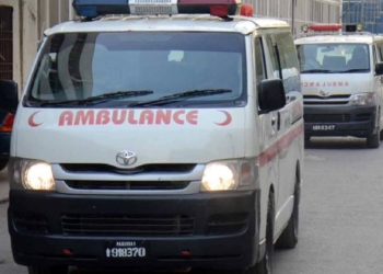 Mosquito-Borne Diseases