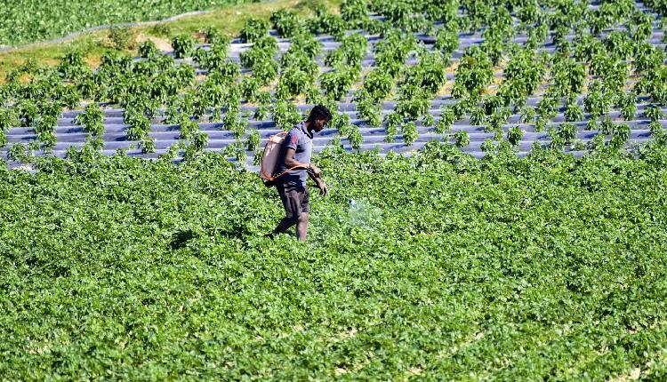 Agriculture Must Play A Central Role In National Transformation: Niti Aayog Report