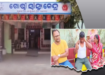 Bee Attack In Kendrapara