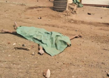 Wanted Criminal Killed