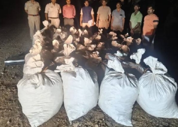 Malkangiri_ganja_seized
