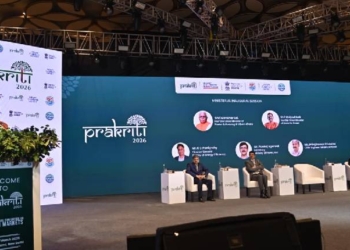 Carbon Market Portal