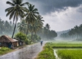 Rain