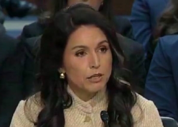 Tulsi Gabbard