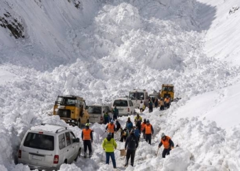 Snow Avalanche Traps