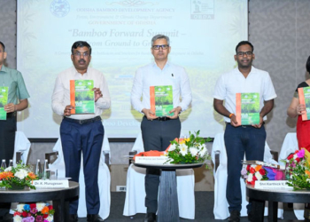 Bamboo Forward Summit