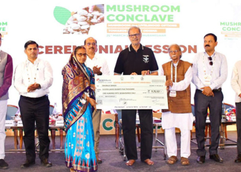 Mushroom Conclave 2026