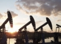 Oil