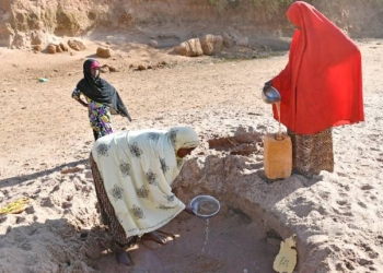 International Organisation for Migration