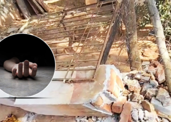 Boundary Wall Collapse