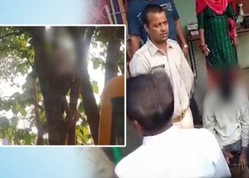 Minor Climbs 100-Ft Tree