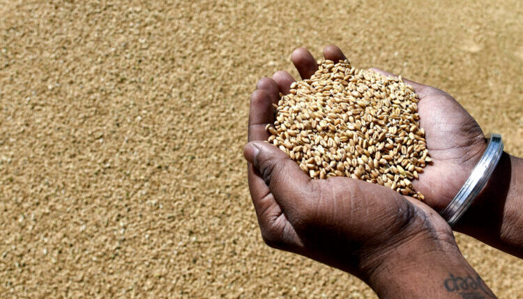 wheat