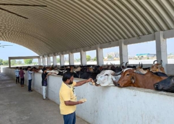 Gujarat